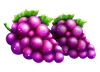 Symbole Raisins Basket Bounty