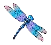Symbole Libellule Big Bass Splash 1000