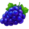 Symbole Raisins Sweet Bonanza 1000