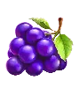 Symbole Raisins Totally Hot